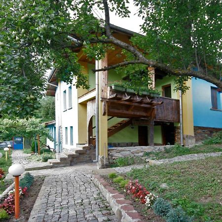 Chuchi Guest House 1 Złatna Panega Zewnętrze zdjęcie