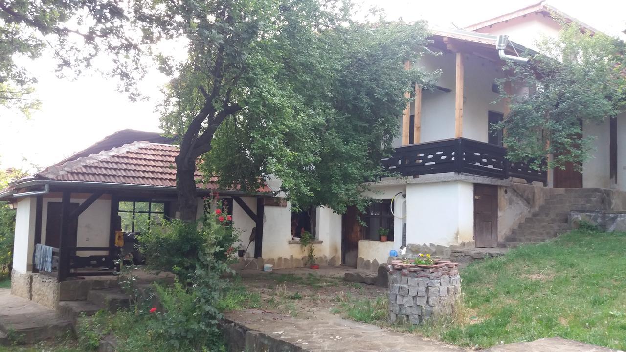 Chuchi Guest House 1 Złatna Panega Zewnętrze zdjęcie