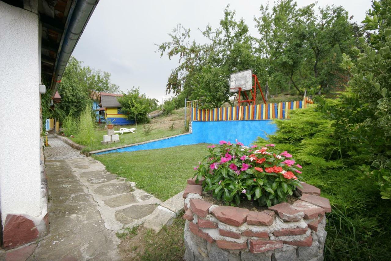 Chuchi Guest House 1 Złatna Panega Zewnętrze zdjęcie